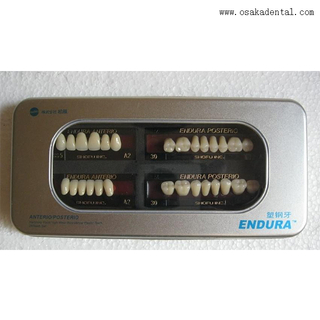 Dents de résine en acier en PVC dentaire OSA-A-dents1