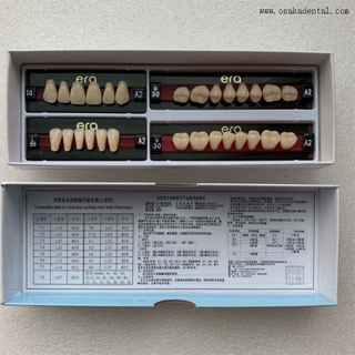 Dents en résine synthétique artificielle dentaire acrylique à trois couches