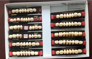 Dents de la résine dentaire de qualité européenne Dents Dents OSA-Dents-UE