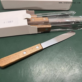 Spatules d'instruments dentaires pour dentiste